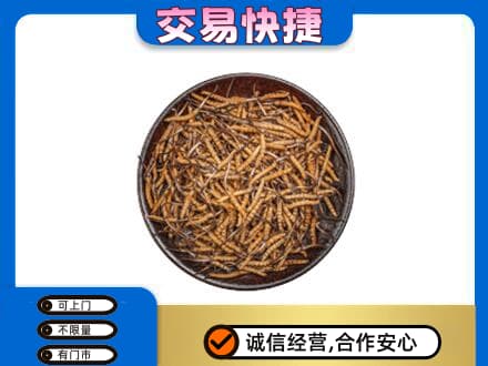 忻州市静乐礼品回收虫草.jpg