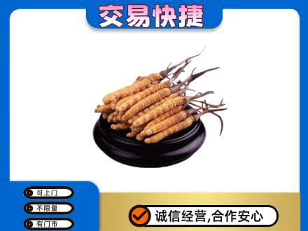 忻州市静乐礼品回收散虫草.jpg
